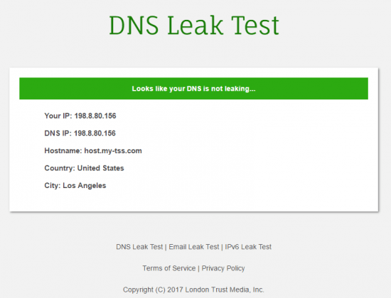 DNS Leak Test results